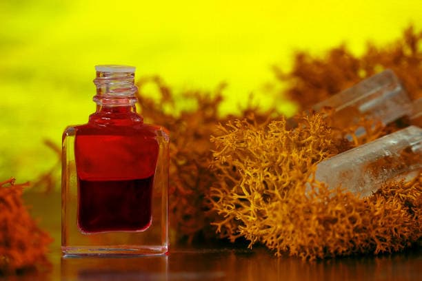 تصویر 2 از خرید عصاره زعفران ممتاز + قیمت فروش استثنایی